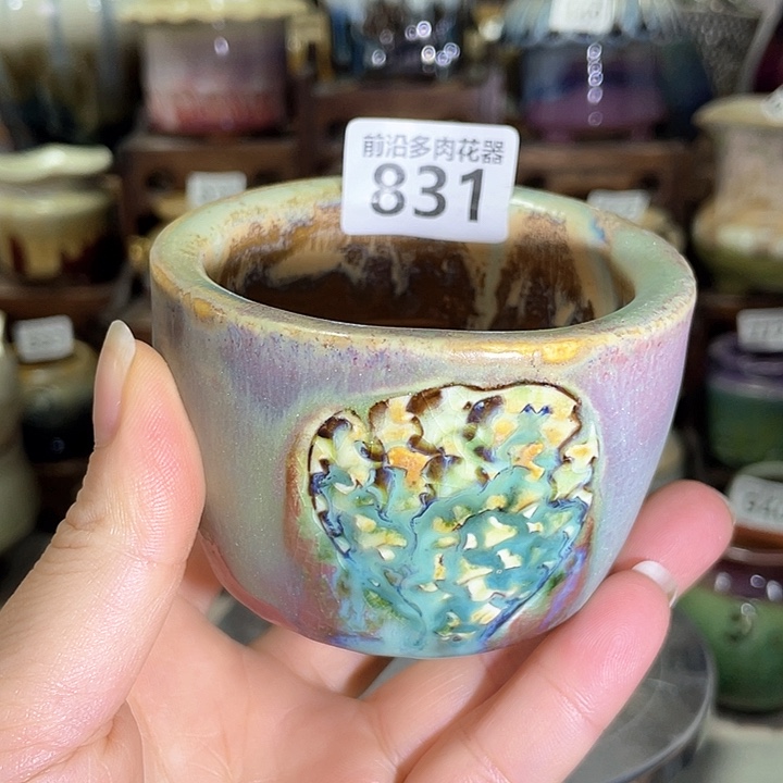 红陶内口径6高度6