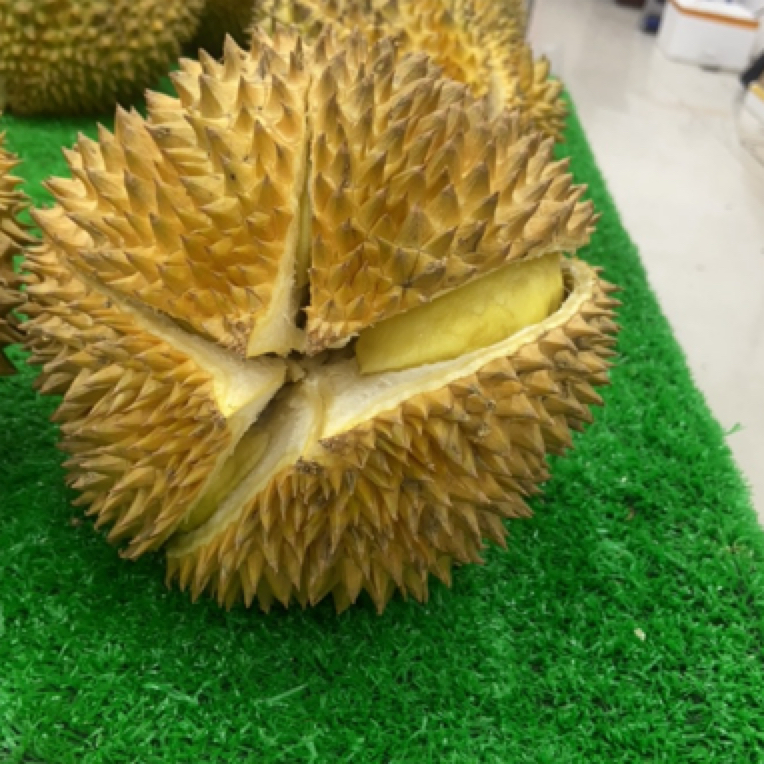 泰国金枕鲜榴莲7.1-7.5斤核小金枕泰国