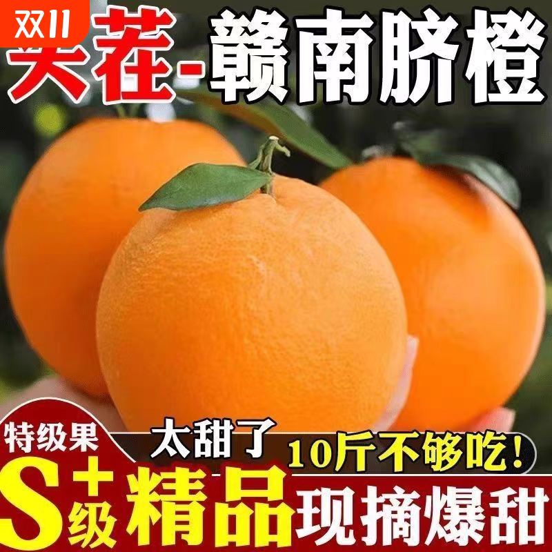 正宗江西赣南脐橙10新鲜当季水果整箱赣州产地直发手剥橙子甜橙