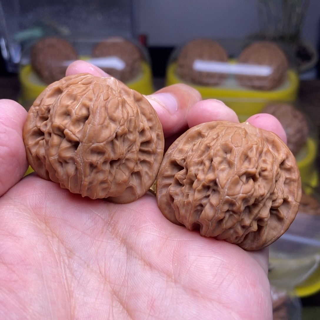 文玩核桃吊坠·**·全品39➕尺磨盘红皮山地a102