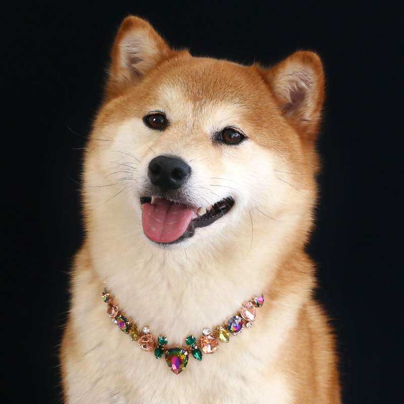 宠物狗狗猫咪轻奢时尚气质甜美脖链泰迪比熊配饰