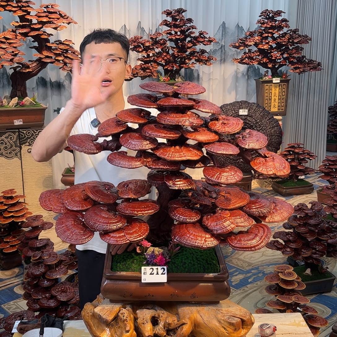 皓***元无花朵8888888888