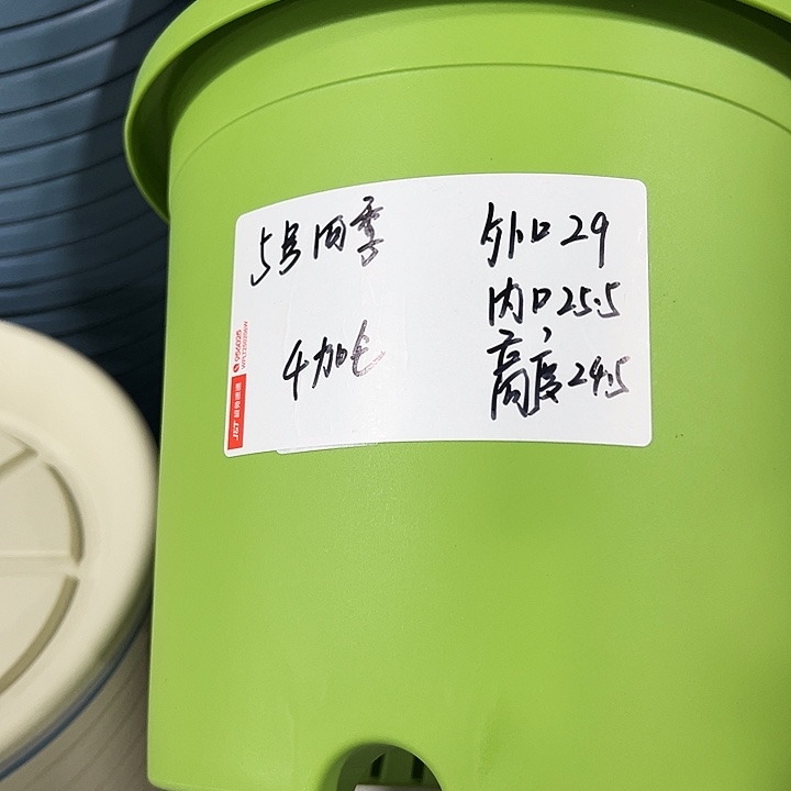 特价5号四季口29高24.5果绿色5个wt