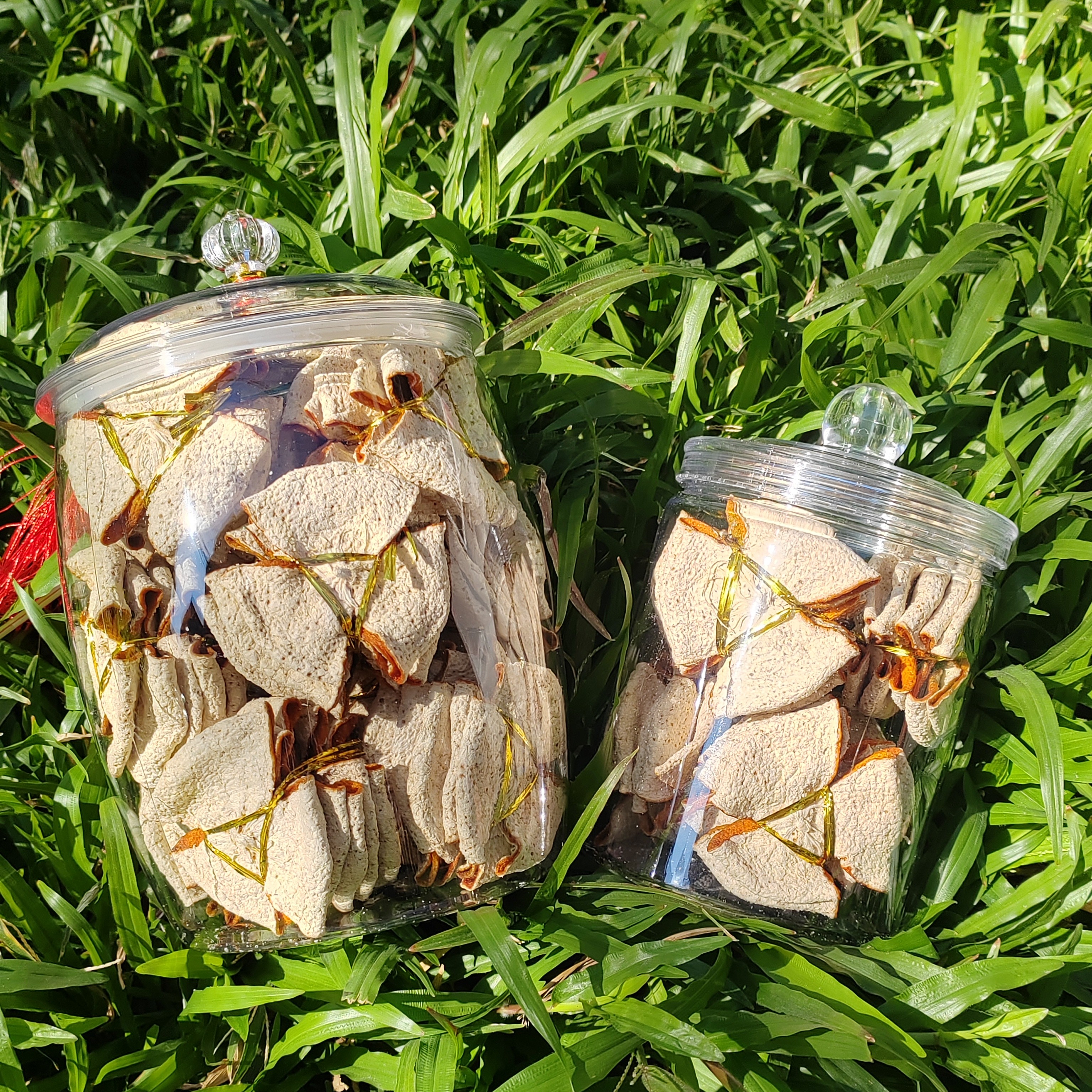 2025东甲扎花大红皮新会