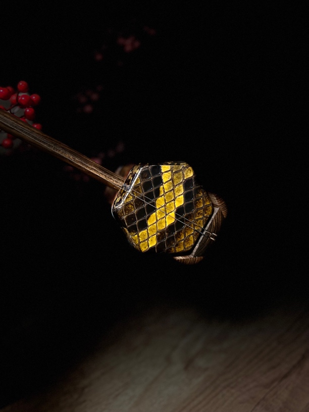 黄花梨二胡（北美），品相音质完美有蟒皮收藏证，实物实拍。