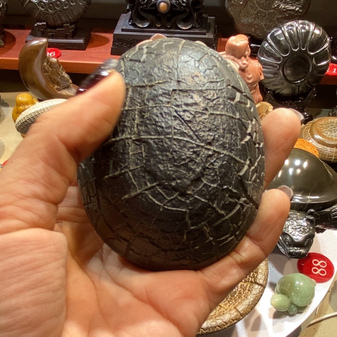 血***鹉羊羔毛龟纹石直播间