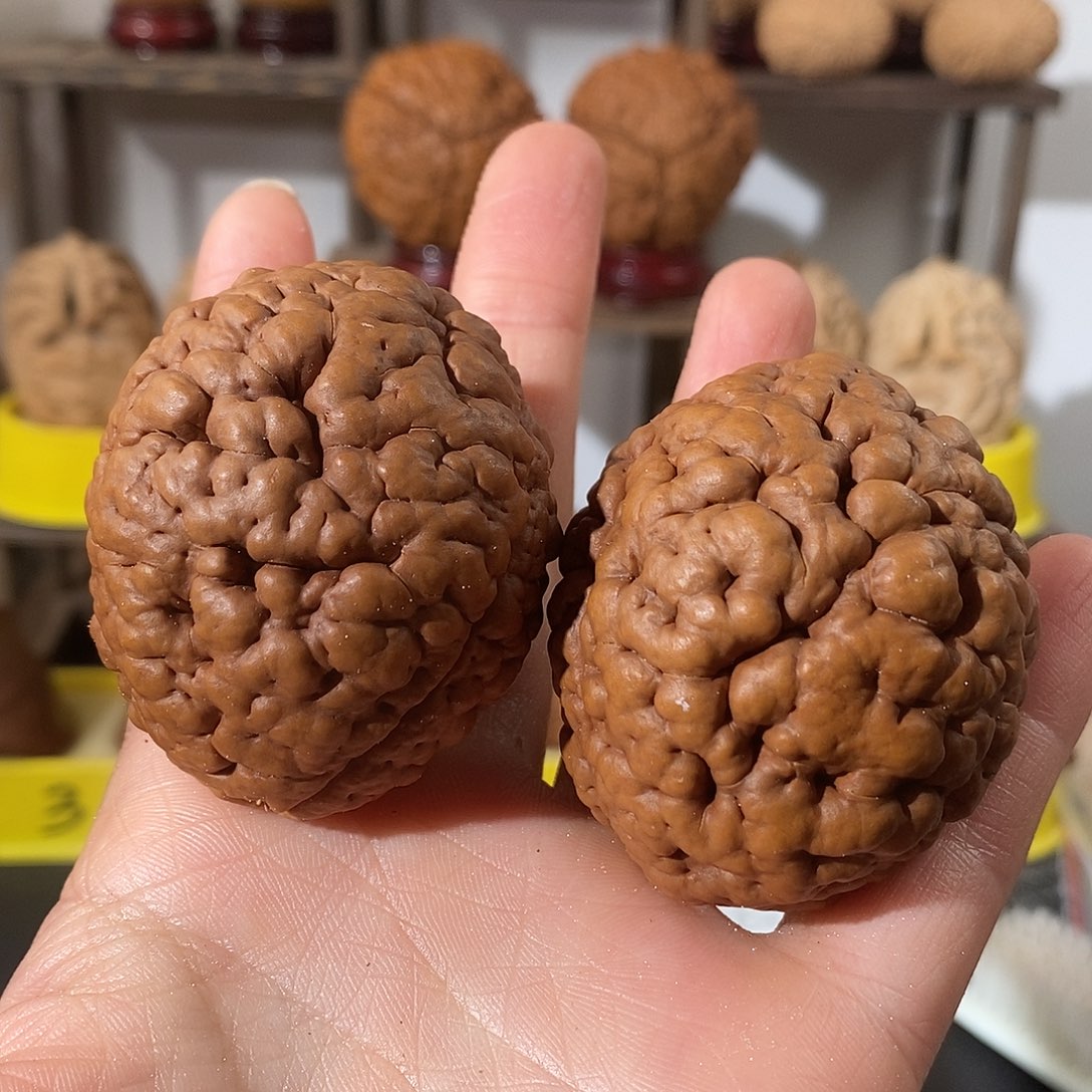 吊坠文玩核桃三瓣脑纹金刚练手微色4453