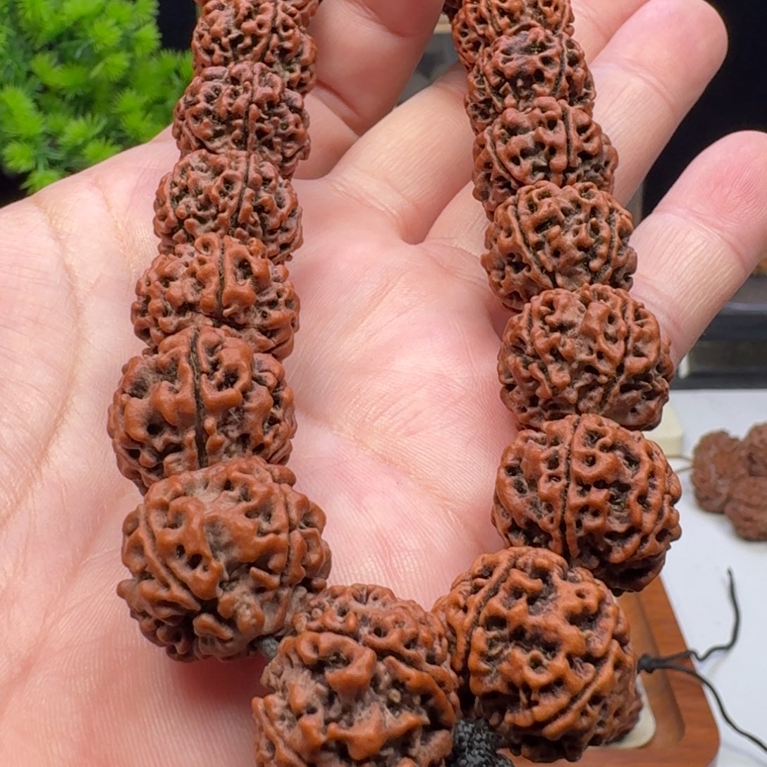 手串金刚菩提14 年安娜老籽蜂窝