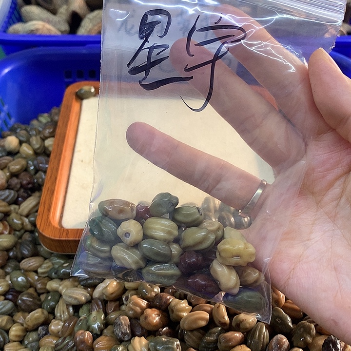 ****河吊坠菩提根/象牙果龙脊