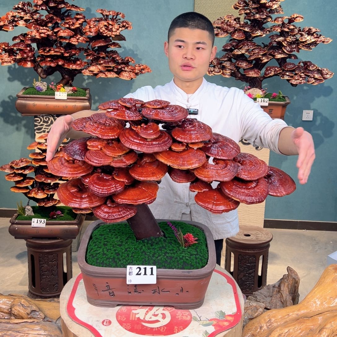 无花朵888888888888