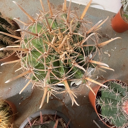 A****生富贵玉谢谢谢谢谢谢谢