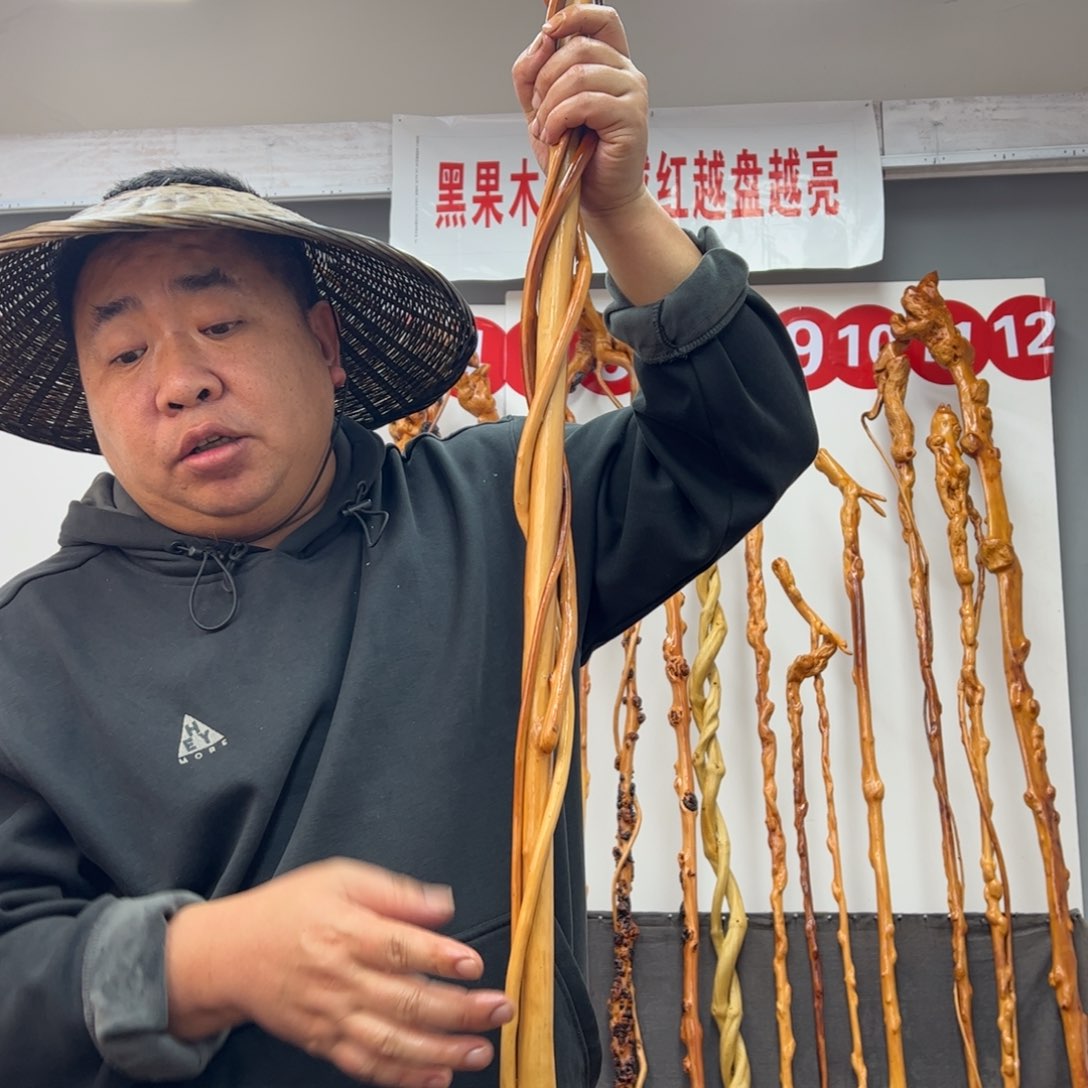 黑果木其他自****鹰黑果木045