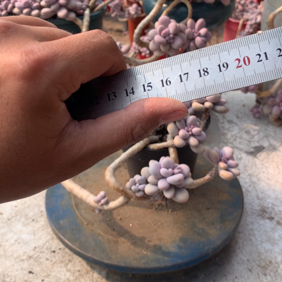 保温箱，零下十度左右拍