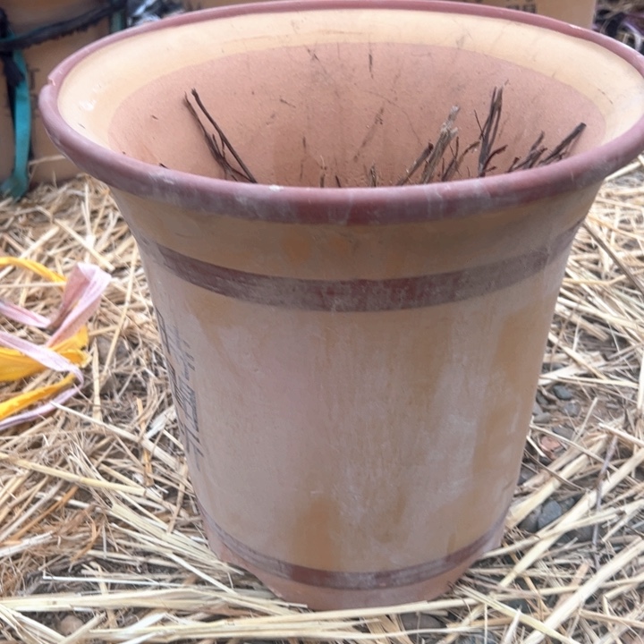 红陶紫砂兰花盆微瑕高30