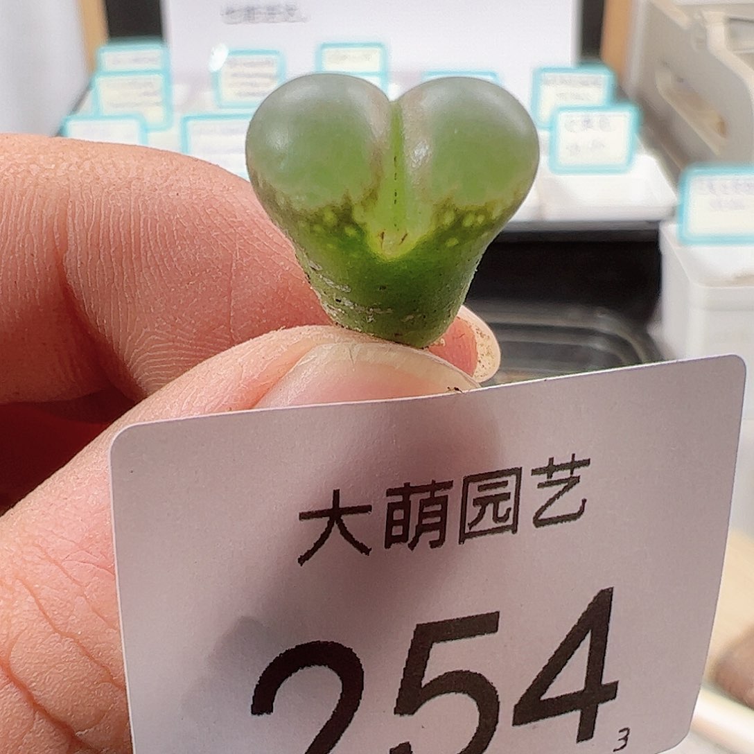 0000254 帕法德10km一物一拍……
