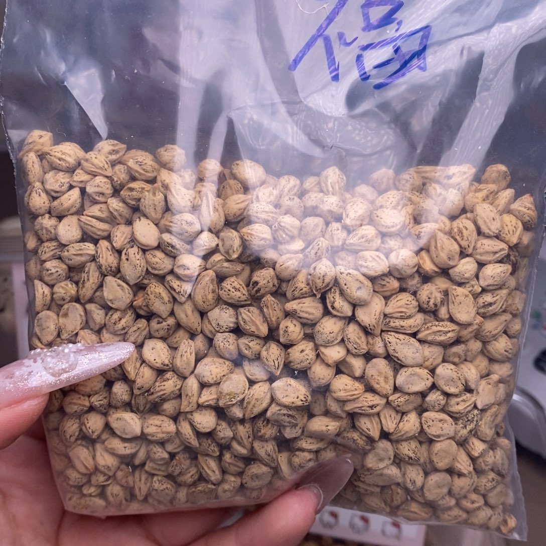 撒***拉柏香籽/百香籽吊坠