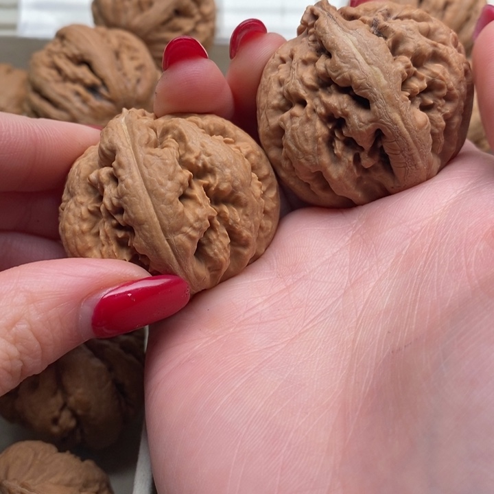 安***全文玩核桃把件霸王龙