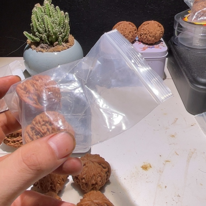 慕***君文玩核桃吊坠37磨盘