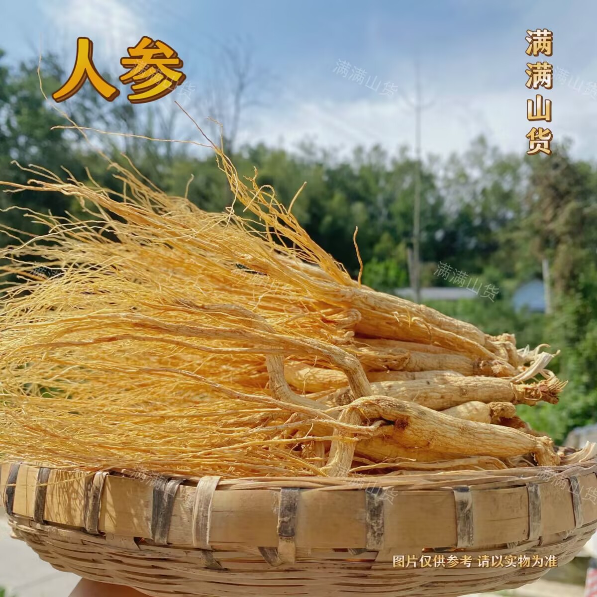满满   -   人参