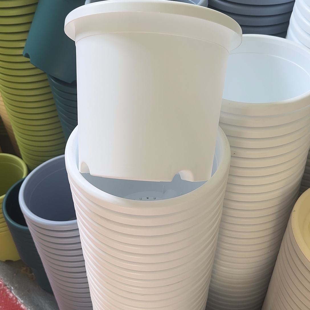 微瑕5号6个无托，白色