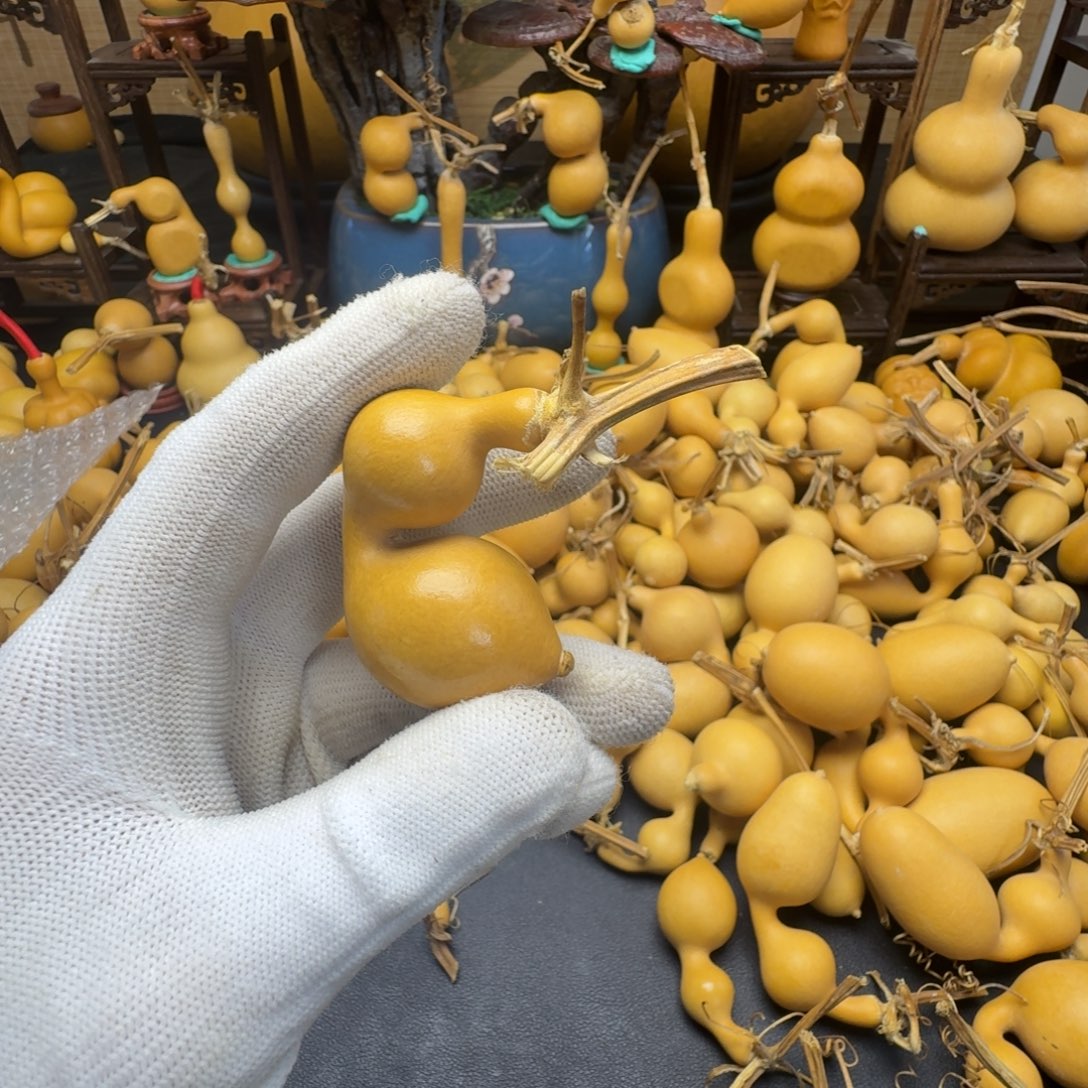 Z***o蚂蚁蚂蚁蚂蚁蚂蚁