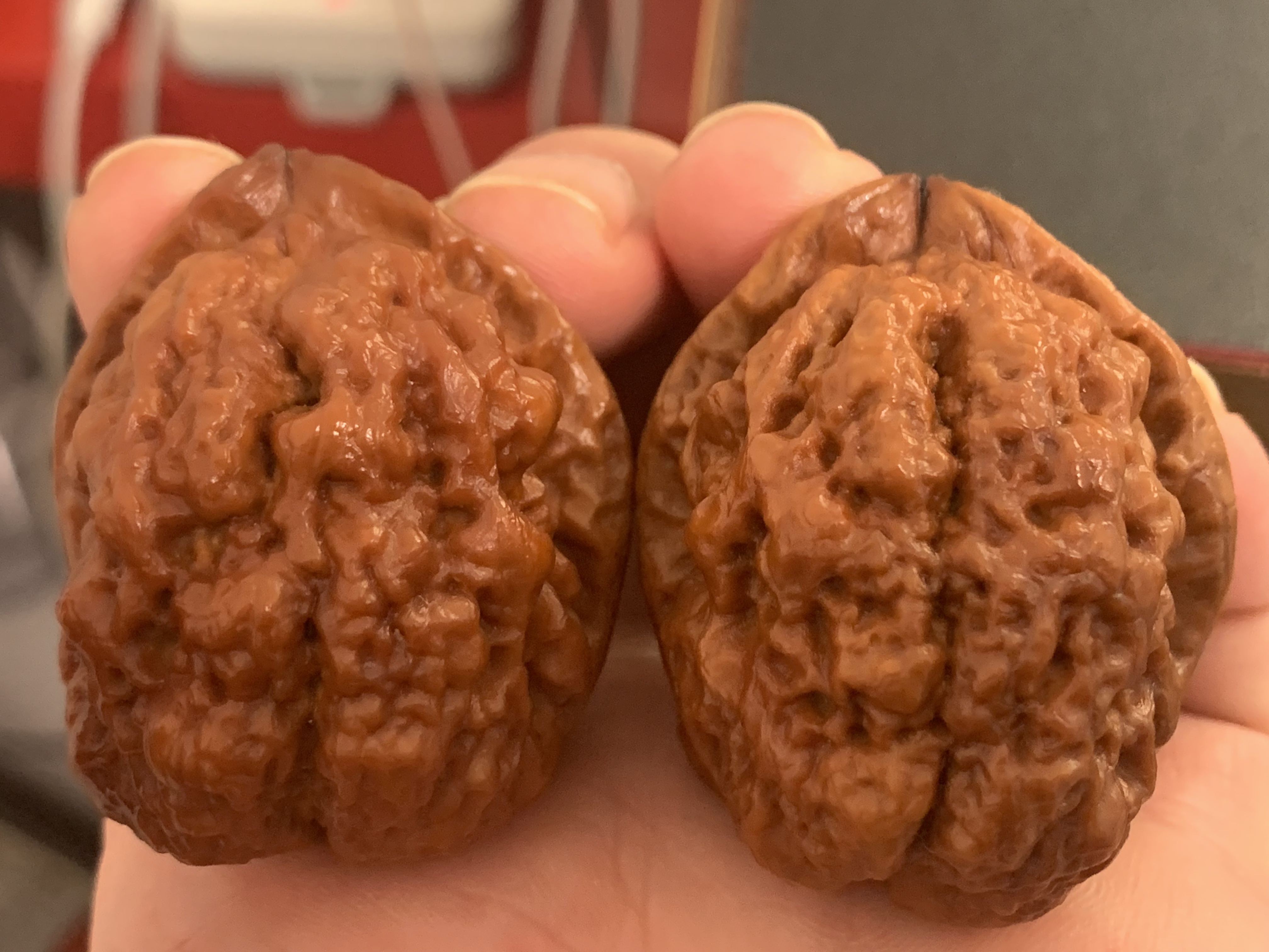 鬼蛊（冢）金蟾44尺云铁核桃