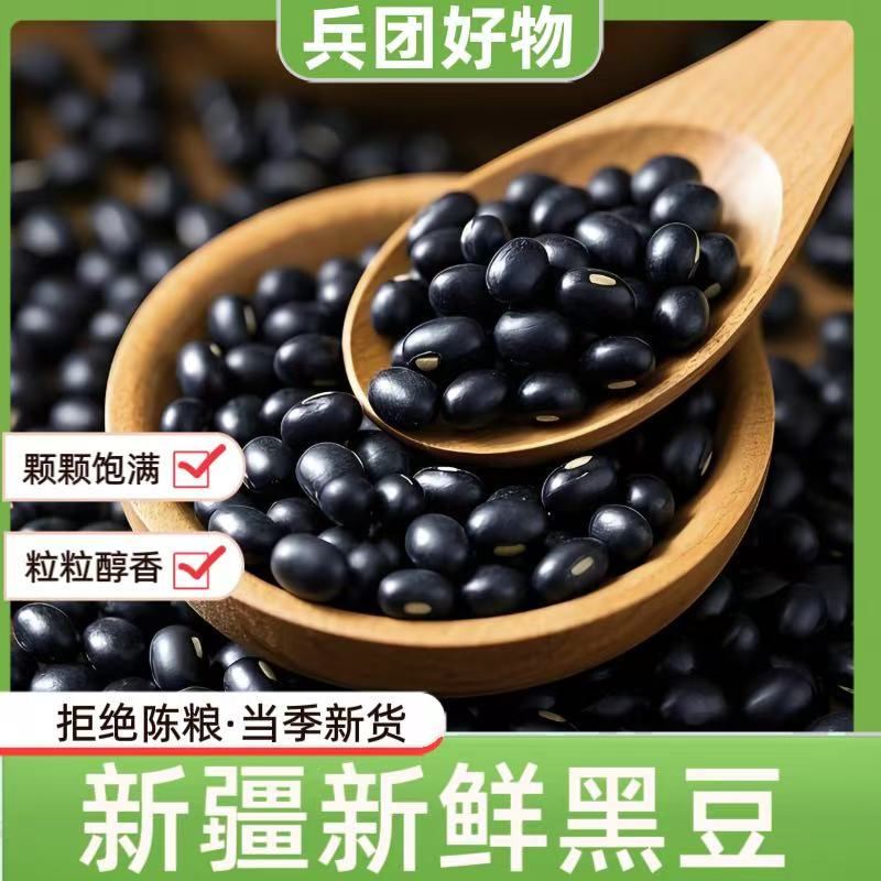 【兵团好物】新疆新黑豆中草药黄芪新鲜煮粥煲汤