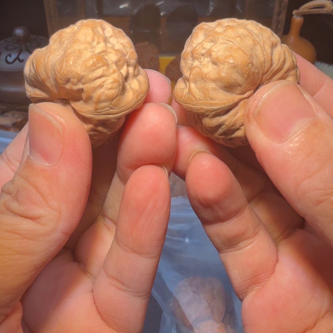 文玩核桃把件36尺寸古蟾
