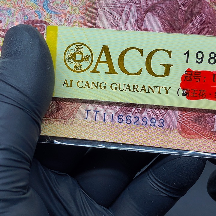 一张一张一张一张一张一张