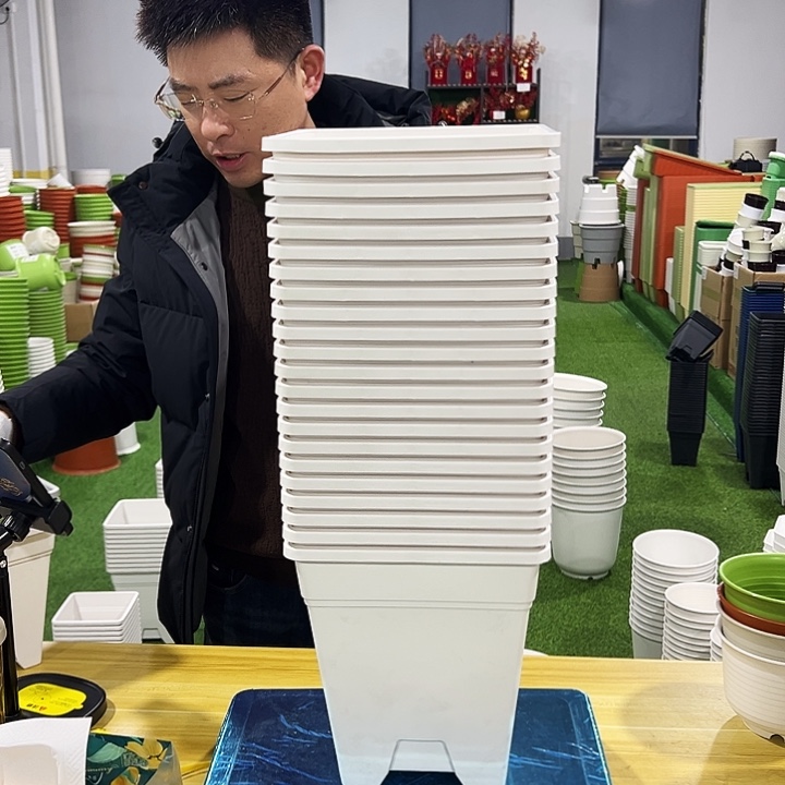 正品方盆口20高22白色6只无托