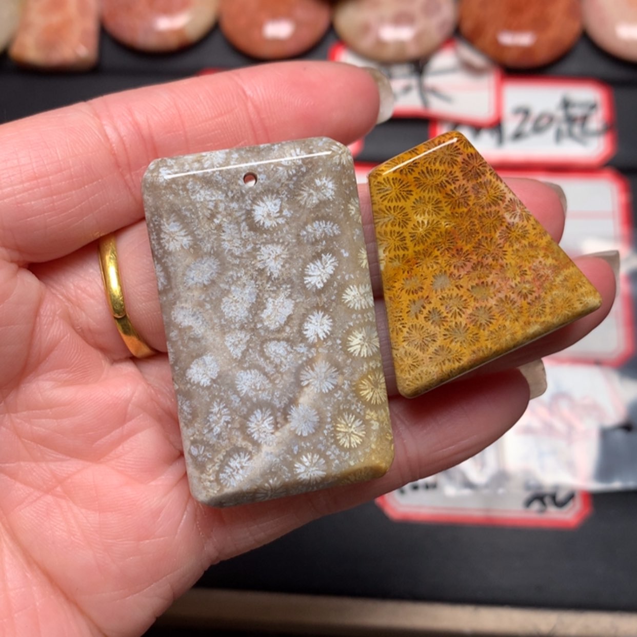 【闪购商品】硅化玉颈饰未镶嵌?*