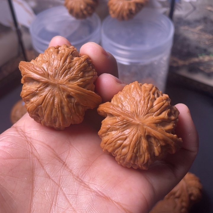 把件文玩核桃40磨盘