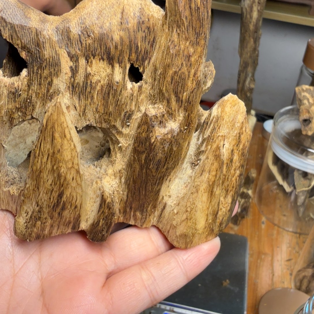 意***空白奇沉香块料沉香