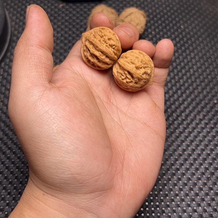 文玩核桃吊坠小霸王龙