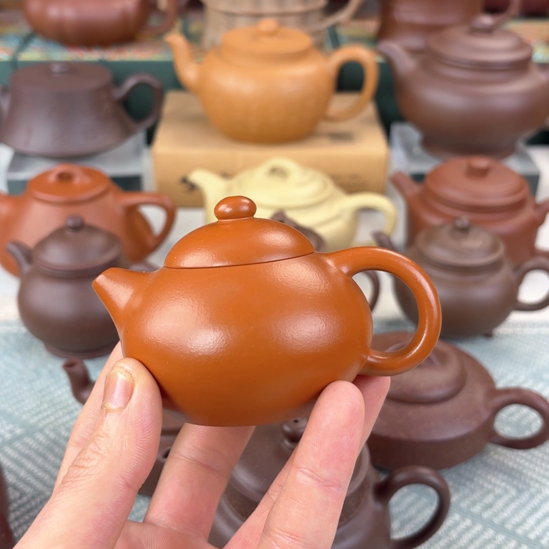 紫砂茶壶文旦 朱泥 100cc