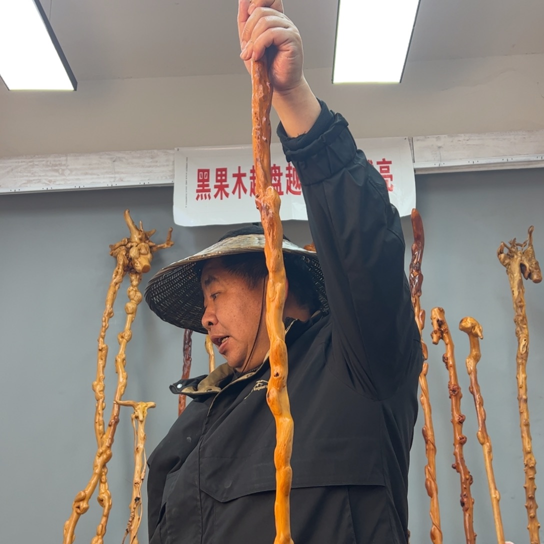 黑果木其他正**明黑果木974