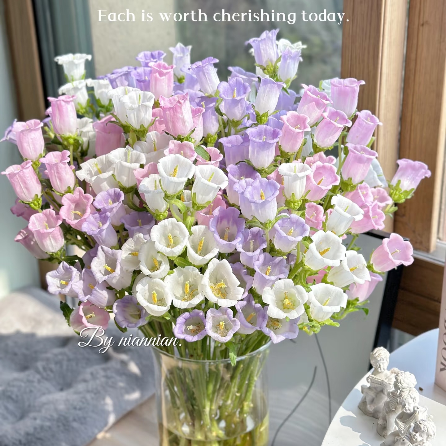 【风铃花】混色 收到需醒花 云南鲜花批发基地直发