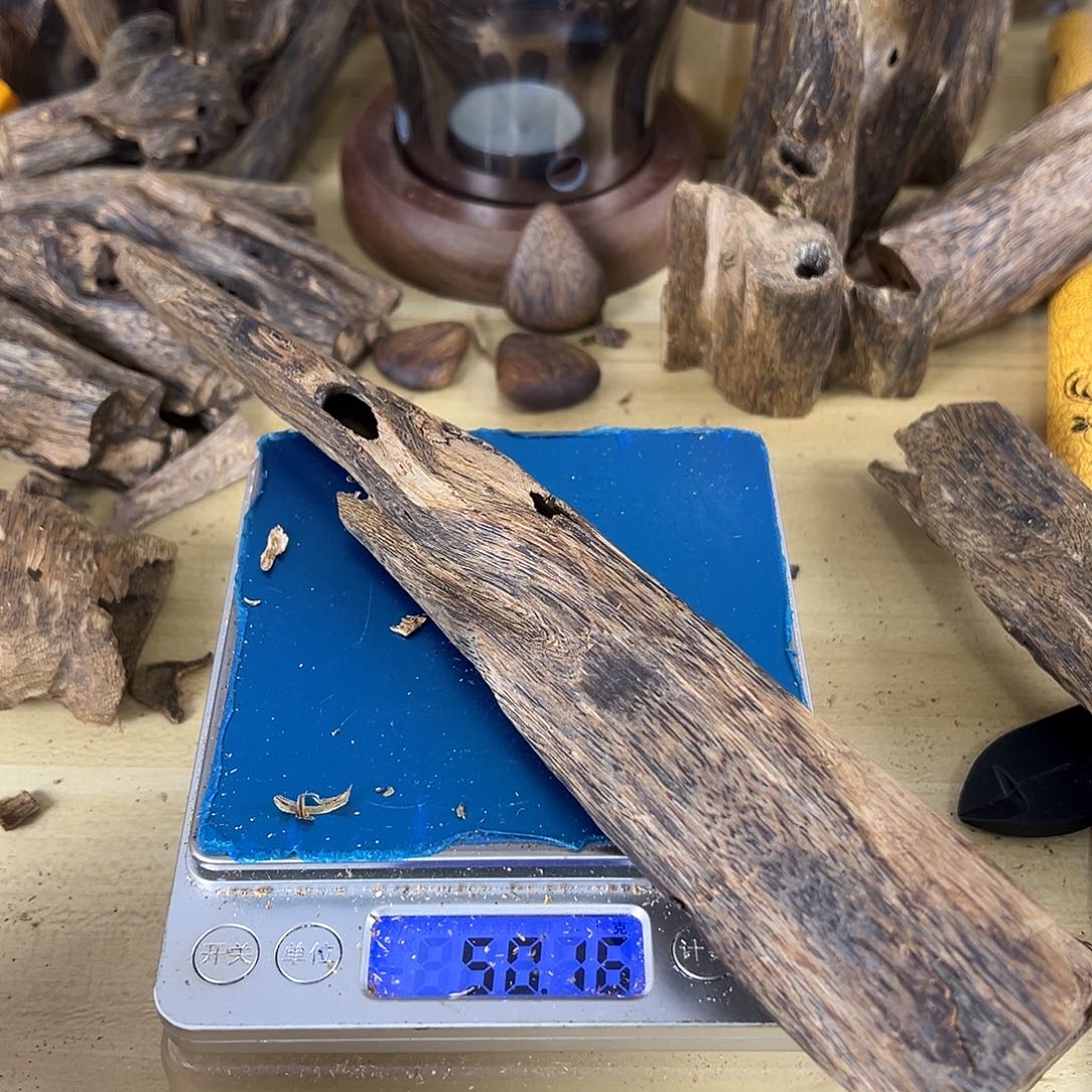 香料绿棋楠虫漏50克乌身