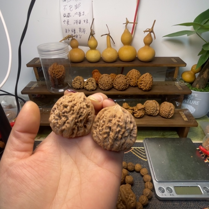 小***丁核桃平谷凹底全品40.38.38.福利