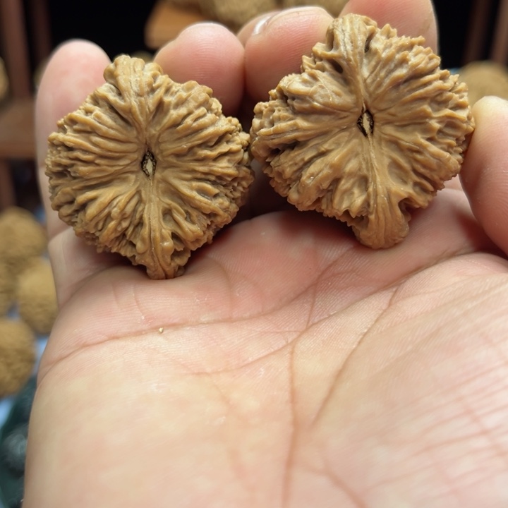 完全开放再***想南疆石