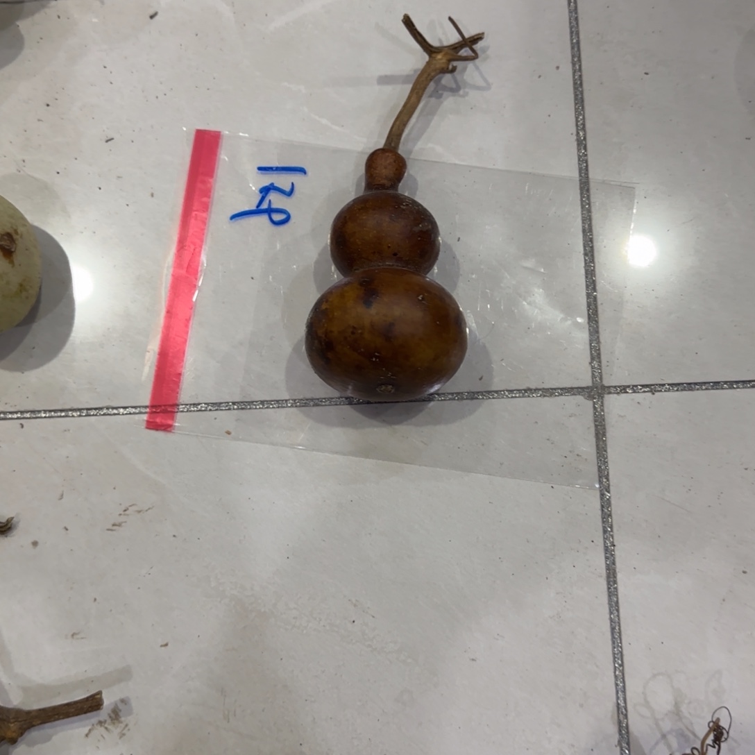 赛****葫芦港汇广场金港国际价格高