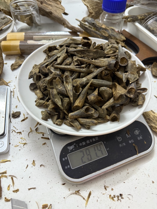 紫棋树丁奇楠沉香碎料