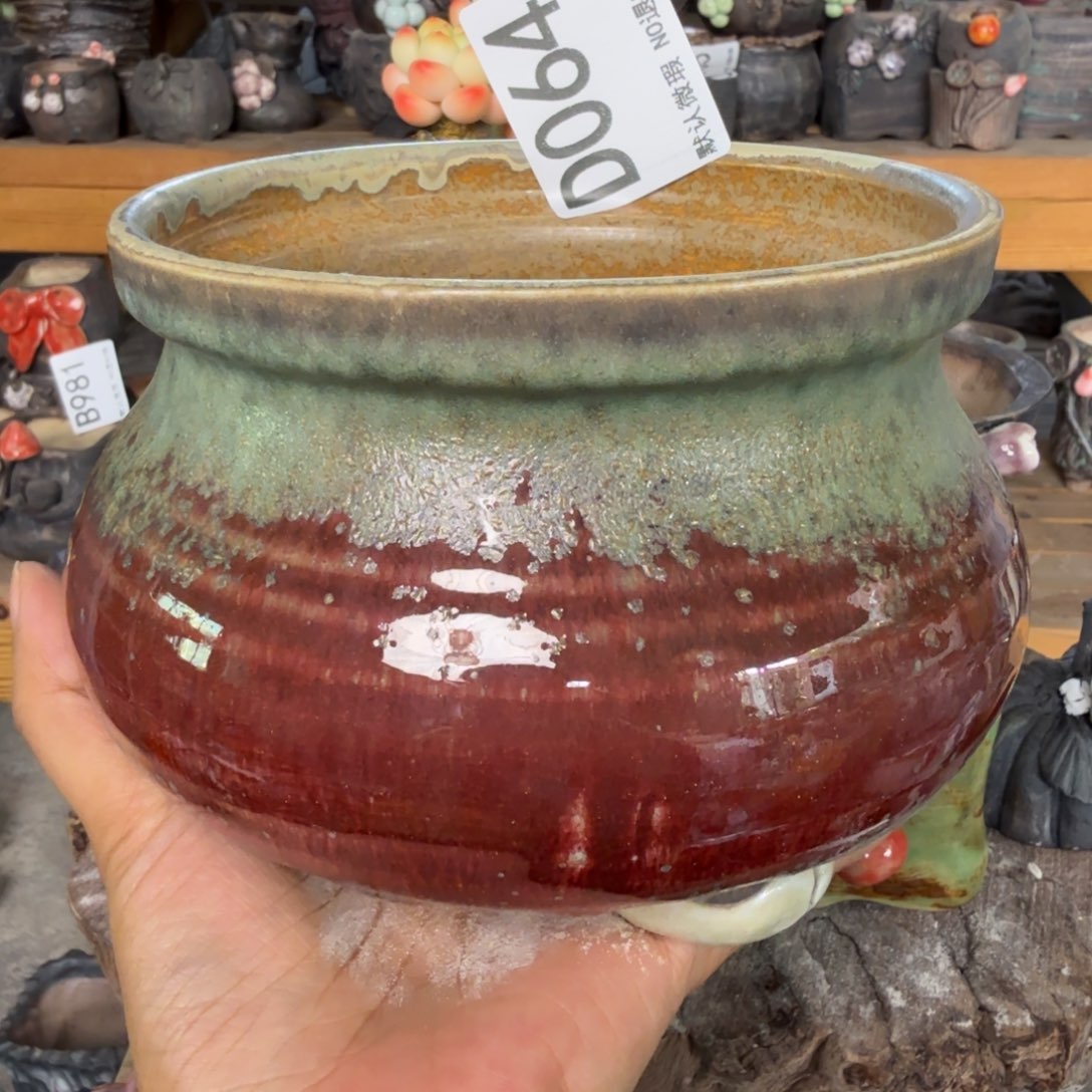 重庆小燕子欢迎大家064