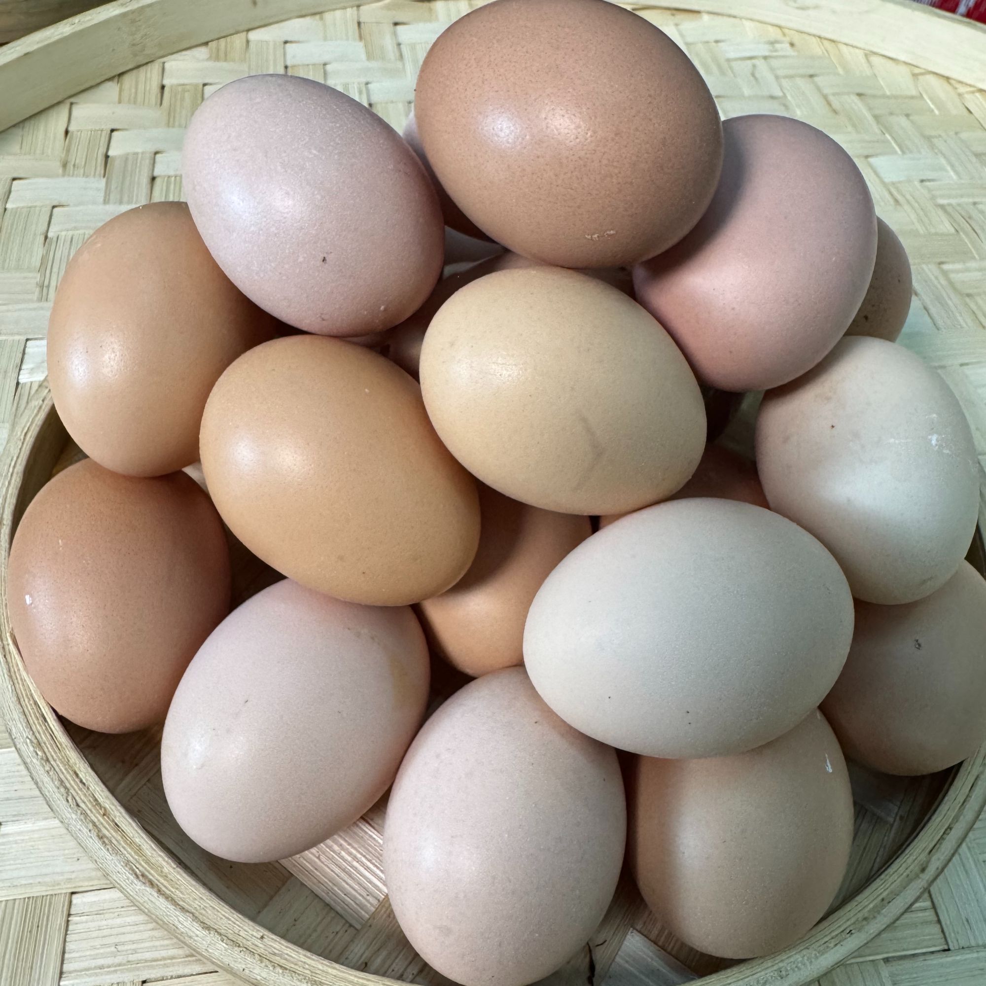 湖南高山生态散养土鸡蛋农家新鲜鸡蛋