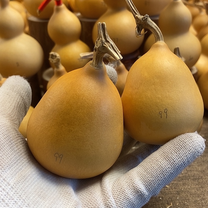 文玩葫芦 完美主义者 慎拍99