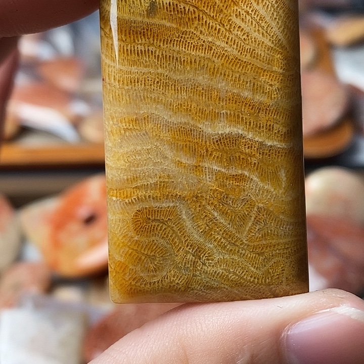 淘***五硅化玉未镶嵌颈饰