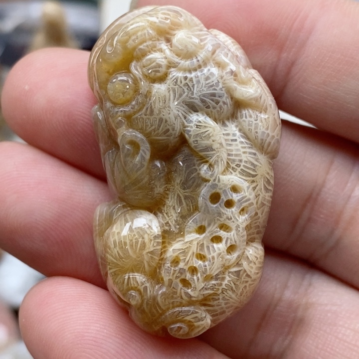 硅化珊瑚（珊瑚玉）未镶嵌颈饰