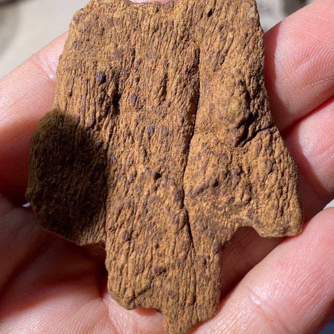 沉香碎屑沉香斯里兰卡千年碳化红土2.35克