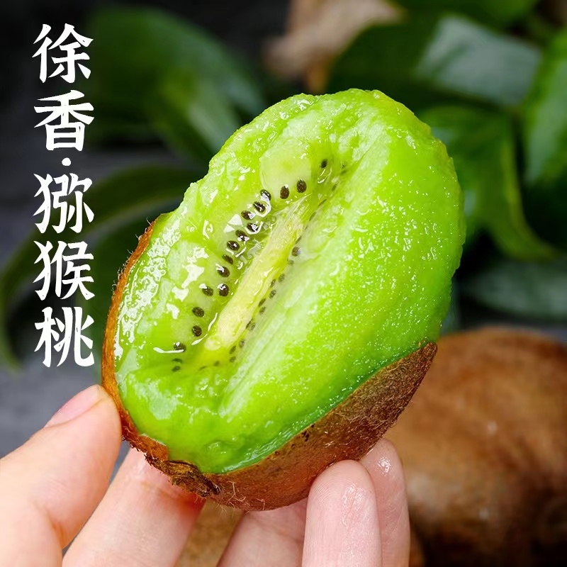 【徐香猕猴桃】陕西绿心徐香猕猴桃新鲜当季水果香甜多汁坏果包赔