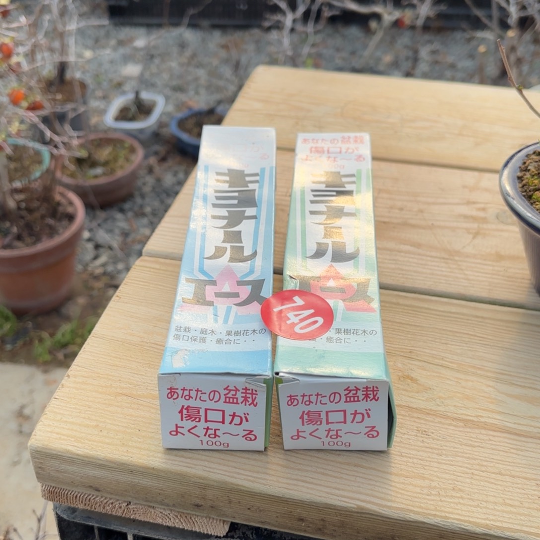 乌***菇全场盆景740号愈合剂